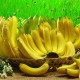 New Service: Banana Packaging!